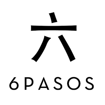 6 PASOS